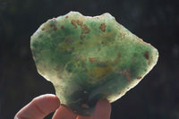 Polished Green Mtorolite / Chrome Chrysoprase Plates  x 6 From Zimbabwe - Toprock Gemstones and Minerals 