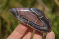 Polished River Agate Nodules  x 6 From Sashe River, Zimbabwe