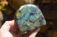 Polished Labradorite Standing Free Forms With Intense Blue & Gold Flash x 3 From Sakoany, Madagascar - TopRock