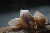 Natural Single Pineapple Quartz Crystals  x 35 From Antsirabe, Madagascar - Toprock Gemstones and Minerals 