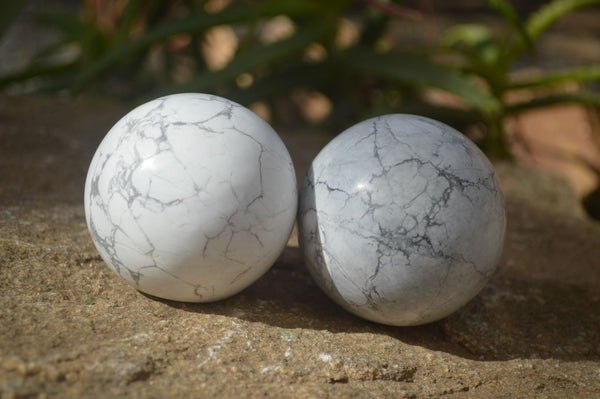 Polished White Howlite Spheres  x 6 From Zimbabwe