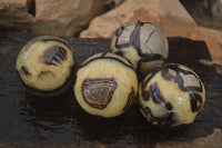 Polished Septaria (Calcite & Aragonite) Spheres  x 4 From Madagascar