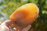 Polished Banded Dendritic Agate Standing Free Forms  x 3 From Moralambo, Madagascar - TopRock