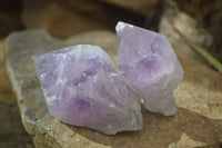 Natural Jacaranda Amethyst Crystals x 12 From Mumbwa, Zambia