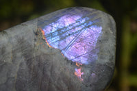 Polished Rare Purple Sunset Labradorite Standing Free Forms  x 6 From Sakoany, Madagascar - TopRock