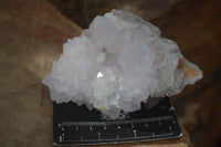 Natural Large White Cactus Flower Spirit Quartz Clusters  x 3 From Boekenhouthoek, South Africa - Toprock Gemstones and Minerals 