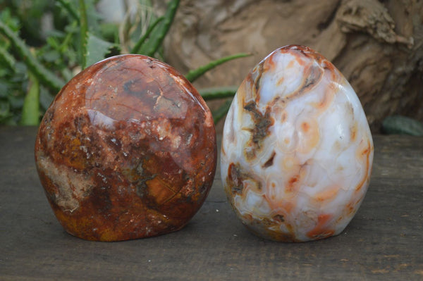 Polished Carnelian Agate Standing Free Forms  x 2 From Madagascar