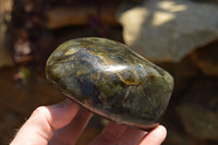 Polished Labradorite Standing Free Forms With Intense Blue & Gold Flash x 3 From Sakoany, Madagascar - TopRock