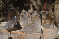 Polished Lovely Smokey Quartz Points  x 6 From Madagascar