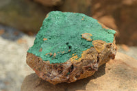 Natural Micro Botryoidal Malachite on Matrix Specimens  x 2 From Tenke Fungurume, Congo - TopRock