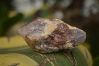 Natural Cascading Pineapple Quartz Crystals  x 24 From Madagascar - TopRock