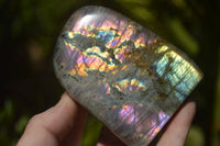 Polished Rare Purple Sunset Labradorite Standing Free Forms  x 6 From Sakoany, Madagascar - TopRock