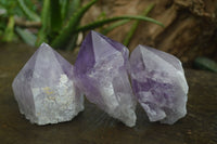 Natural Single Jacaranda Amethyst Crystals  x 6 From Mumbwa, Zambia - Toprock Gemstones and Minerals 