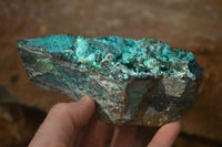 Natural Blue Silica Chrysocolla Specimens x 3 From Congo