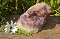 Polished Large Amethyst Agate Display Piece x 1 From Madagascar - TopRock