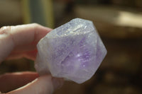 Natural Jacaranda Amethyst Crystals x 12 From Mumbwa, Zambia