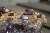 Polished Amethyst & Copper Gemstone Tree On Amethyst Basalt Specimen  x 1 From Zululand, South Africa - TopRock