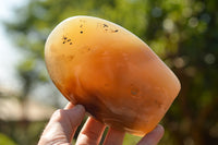 Polished Banded Dendritic Agate Standing Free Forms  x 3 From Moralambo, Madagascar - TopRock