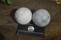 Polished White Howlite Spheres  x 6 From Zimbabwe