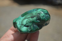 Polished Malachite Free Forms With Stunning Flower & Banding Patterns x 6 From Congo - TopRock