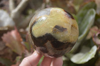 Polished Septaria (Calcite & Aragonite) Spheres  x 4 From Madagascar