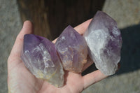 Natural Single Jacaranda Amethyst Crystals  x 6 From Mumbwa, Zambia - Toprock Gemstones and Minerals 