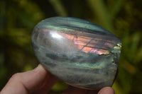 Polished Rare Purple Sunset Labradorite Standing Free Forms  x 6 From Sakoany, Madagascar - TopRock