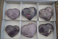 Polished Purple Lepidolite Hearts With Pink Rubellite On Some  x 6 From Madagascar - Toprock Gemstones and Minerals 