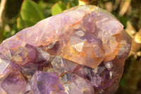 Polished Large Amethyst Agate Display Piece x 1 From Madagascar - TopRock