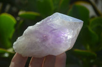 Natural Jacaranda Amethyst Crystals x 12 From Mumbwa, Zambia