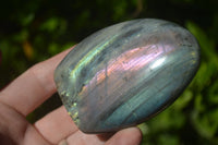 Polished Rare Purple Sunset Labradorite Standing Free Forms  x 6 From Sakoany, Madagascar - TopRock