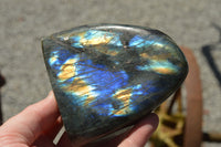 Polished Labradorite Standing Free Forms With Intense Blue & Gold Flash x 3 From Sakoany, Madagascar - TopRock