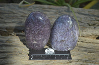 Polished Purple Lepidolite Standing Free Forms  x 6 From Madagascar