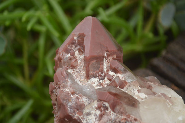 Natural Red Hematoid Quartz Specimens x 3 From Karoi, Zimbabwe - TopRock