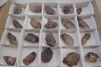 Natural Royal Zulu Window Amethyst Crystals x 20 From, South Africa