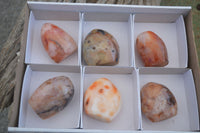 Polished Carnelian Agate Standing Free Forms  x 6 From Madagascar - Toprock Gemstones and Minerals 