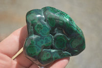 Polished Malachite Free Forms With Stunning Flower & Banding Patterns x 6 From Congo - TopRock