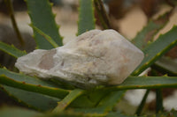 Natural Cascading Pineapple Quartz Crystals  x 24 From Madagascar - TopRock