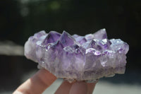 Natural Dark Purple Amethyst Clusters  x 3 From Mapatizya, Zambia - TopRock