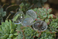 Polished Small Semi Optic Quartz Galet / Palm Stones x 35 From Madagascar