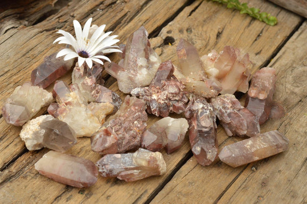 Natural Small Red Hematoid Quartz Crystals & Clusters  x 24 From Zambia - TopRock