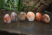 Polished Carnelian Agate Standing Free Forms  x 6 From Madagascar - Toprock Gemstones and Minerals 