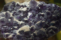 Natural Dark Purple Amethyst Clusters  x 3 From Mapatizya, Zambia - TopRock