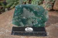 Polished One Side Polished Emerald Mtorolite Plates  x 6 From Zimbabwe