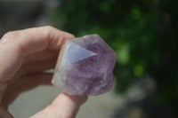 Natural Single Jacaranda Amethyst Crystals  x 6 From Mumbwa, Zambia - Toprock Gemstones and Minerals 