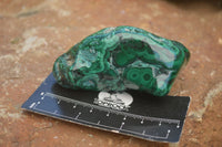 Polished Malachite Free Forms With Stunning Flower & Banding Patterns x 6 From Congo - TopRock