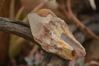 Natural Cascading Pineapple Quartz Crystals  x 24 From Madagascar - TopRock