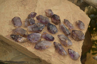 Natural Royal Zulu Window Amethyst Crystals x 20 From, South Africa