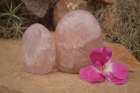 Polished Pink Rose Quartz Standing Free Forms x 2 From Ambatondrazaka, Madagascar - TopRock
