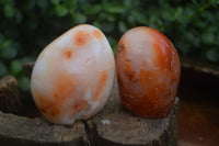 Polished Carnelian Agate Standing Free Forms  x 6 From Madagascar - Toprock Gemstones and Minerals 